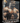 Spanish eBook & Audio Book The Fundamentals of Bodybuilding and Physique Sculpting